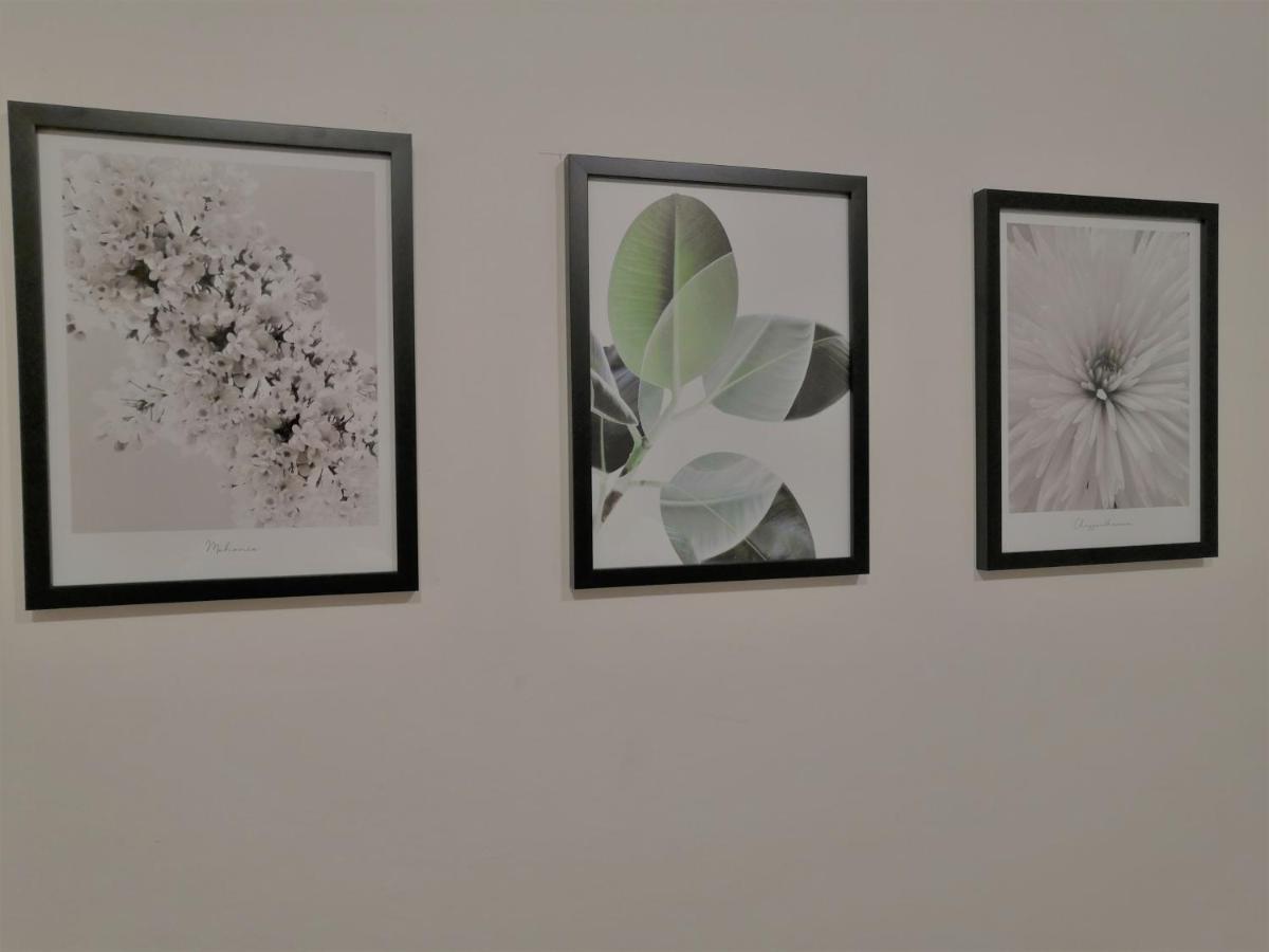 Apartia Krenova, Brno-Center 외부 사진